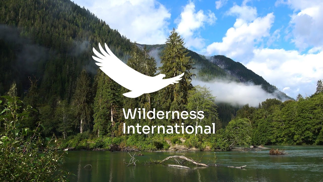Wilderness International Support