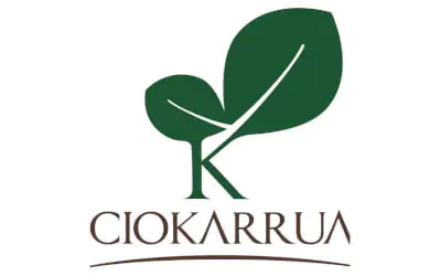 Ciokarrua