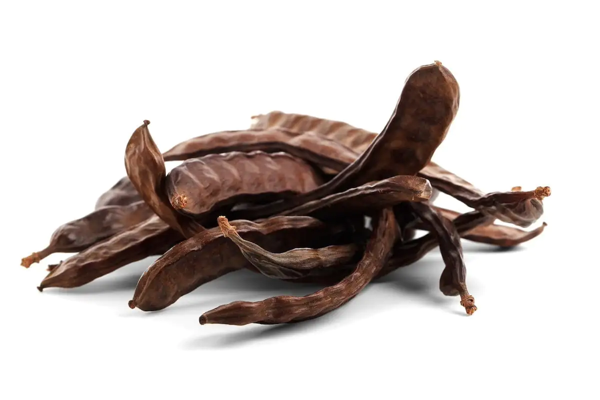 Schokolade aus Carob ist eine gesunde Alternative - Carob Schokolade kaufen! Schokolade aus Carob ist eine gesunde Alternative - Carob Schokolade kaufen!